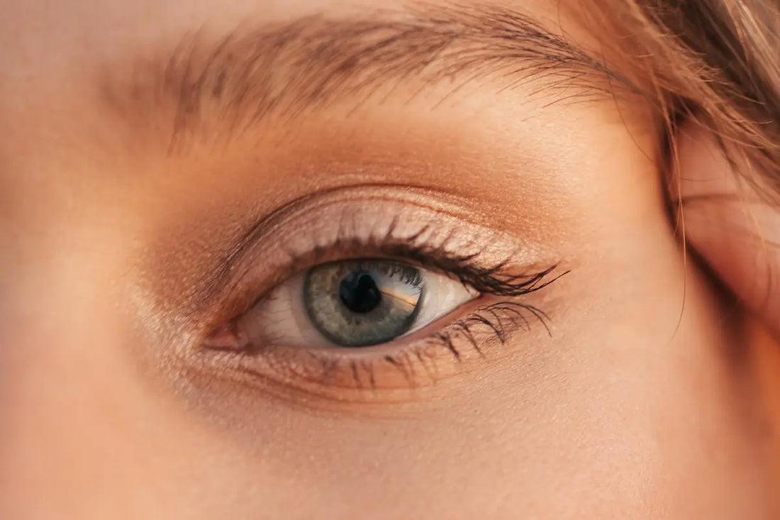 How Can Lash Artistry Transform Your Look?