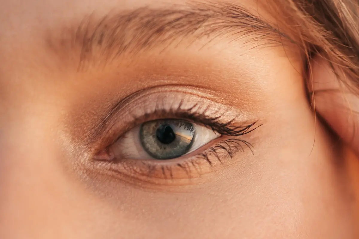 How Can Lash Artistry Transform Your Look?